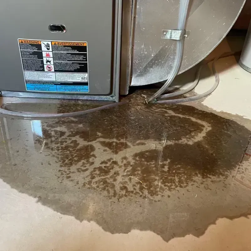 Appliance Leak Cleanup in Monument, CO